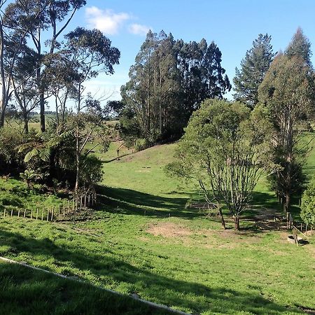 טאורנגה Rolling Hills Country Stay B&B מראה חיצוני תמונה