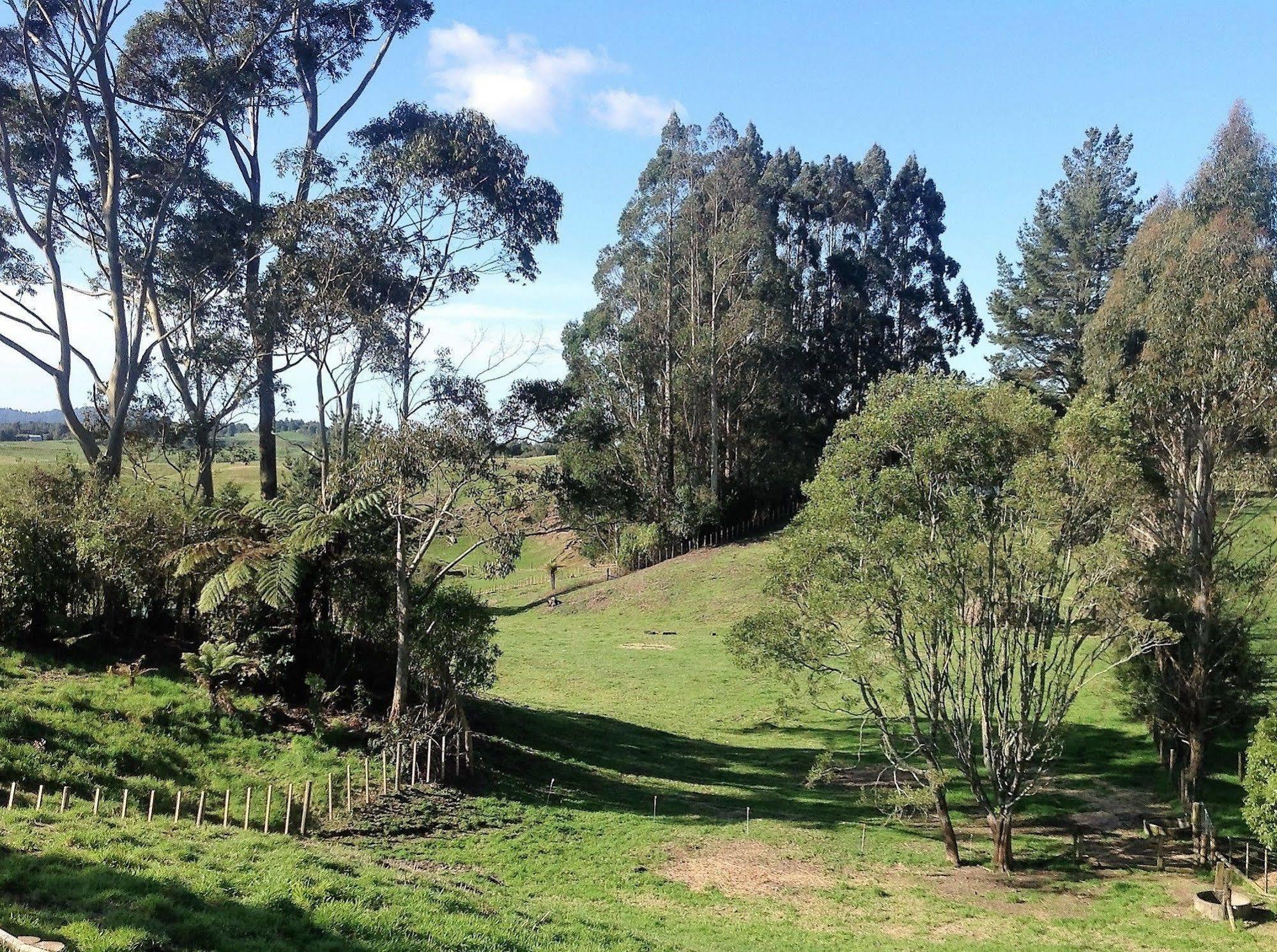 טאורנגה Rolling Hills Country Stay B&B מראה חיצוני תמונה